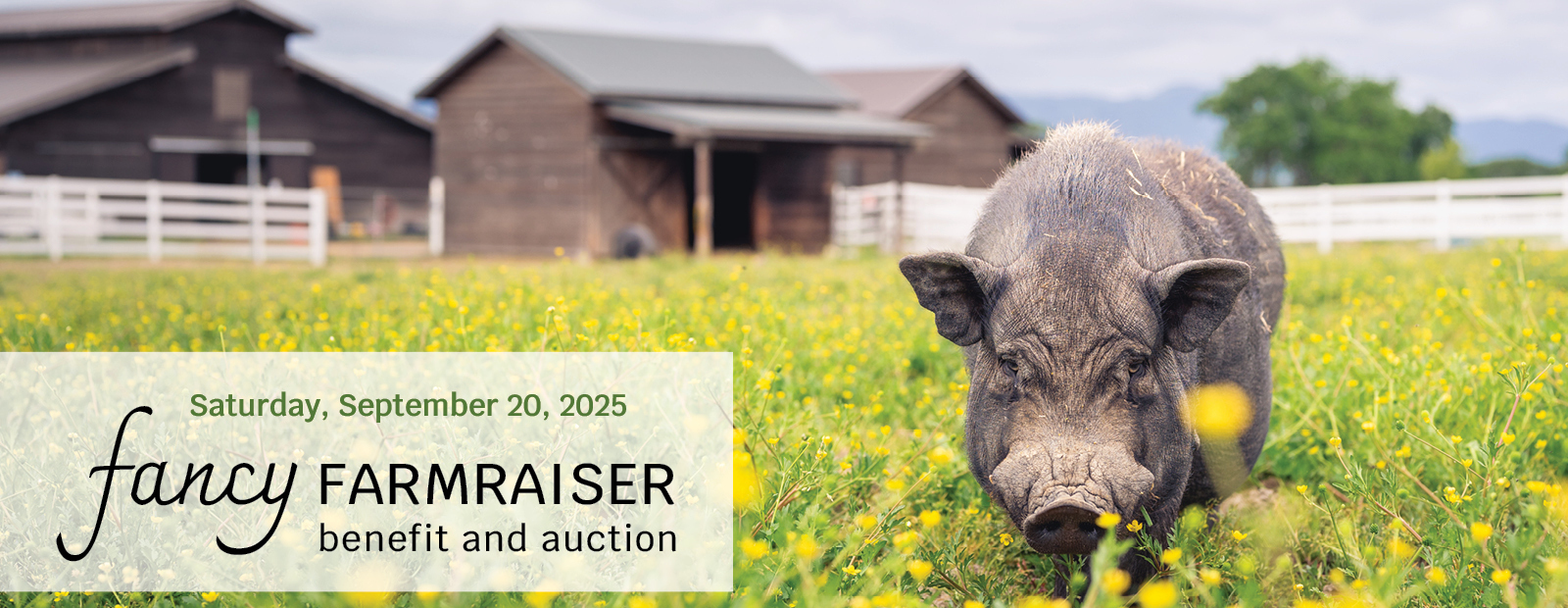 Fancy Farmraiser Benefit and Auction 2025